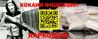 крисы Кулебаки