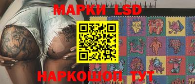 крисы Кулебаки