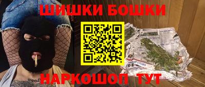 крисы Кулебаки