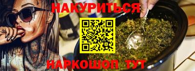 крисы Кулебаки