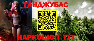 крисы Кулебаки